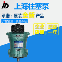 10YCY 25YCY 40YCY 63YCY 80YCY 100YCY 160 250YCY14-1D Piston pump