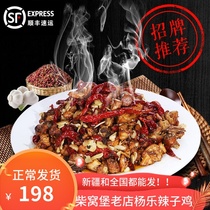 Xinjiang specialty Chaiwopu shop Yangle Spicy Chicken 1 5Kg3 Jin is not a large plate chicken pepper chicken vacuum Qing Shunfeng