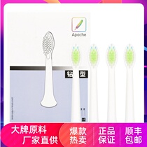 Apache Apache Surge Surge Adult Electric Toothbrushes Original BRUSH HEAD IMPORT BRUSH HAIR UNIVERSAL REPLACEMENT FOR COUPLES