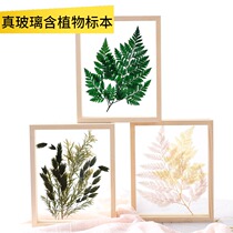 Nordic living room plant specimen dried flower forever flower embossed wooden frame finished can be hung up with background wall
