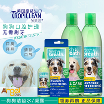 US imported Domeijie dog tooth cleaning water Pet plaque adult dog puppy to remove calculus in addition to bad breath gel