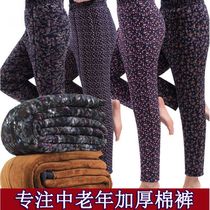 Shandong Large Cotton Pants Thickened Flannel Wear Winter Northeast Camel High Waist Lady Loose elderly Special pants in the middle of the winter