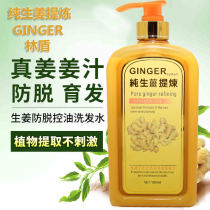 GINGE Pure Ginger Extract Anti-de-control Oil Shampoo 1000ml Anti-dandruff Ginger King Shampoo