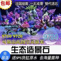 P brand French culture ecological landscape stone 9710 9720 free from violent algae to send sps cargo tank raw water contains massive bacteria