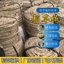 Straw rope autumn and winter outdoor trees soil ball dressing straw rope straw curtain plant insulation cold-proof flowers and wood warm rope