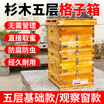 Middle Bee Plaid Beehive Beehive Five Layers Of Earth Raising Cedar Wood Cooking Wax Beehive full of bee lukewarm beekeeper Lattice Beekeeping tools
