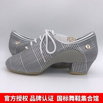 ADSdance new A1060-06 silver Cha Cha waltz teacher Latin modern universal dance shoes
