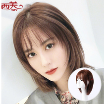 Sifu Wig Women's Short Hair Medium Long Straight Air Bangs Round Face Clavicle Hair Realistic Hair