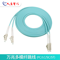 Promotion Datang Telecom LC-LC 10 Gigabit Multimode OM3 Dual-core Fiber Patch Tied Telecom Class Optical Fiber Cable 3 m