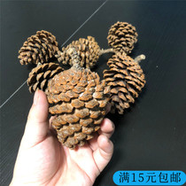 Natural pine pine pine tower dry branches log dry flower kindergarten decoration ring decoration of DIY handmade material