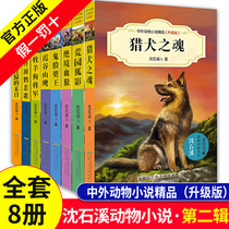 (Genuine) Chinese and foreign animal novels upgraded version of the second series of 8 volumes Shen Shixi animal King novel Story series book The soul of the Hound Dog Blood Wolf junior high school students three four five six years extracurricular reading book