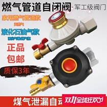 Natural gas safety Self-closed valve Home Kitchen cut off valve dn15 valve Automatic break gas protection butterfly valve pressure limit