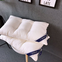 Hyaluronic acid pillow beauty pillow single double net red pillow adult single student pair white pillow