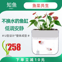Zhiyu fish tank creative ecological fish vegetable symbiosis water-free home office mini fish tank living room aquarium