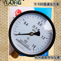 Hangzhou Fuyang Huayi Y-100 common pressure gauge pressure gauge pressure gauge 0 6 1 1 6mpa M20 * 1 5