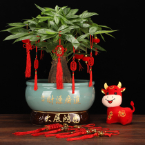 New Years opening decorations Indoor bonsai small hanging ornaments housewarming festive wooden pendants