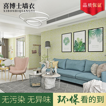 Dr. Xi fiber wall coat paint eco-environmental protection modern simple European living room background wall bedroom waterproof self-brushing