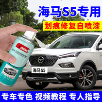 Seahorse S5 Special paint pen Bordeaux red car scratch repair self-painting polar silver Aurora Green Everest White