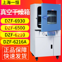 Shanghai Yiheng DZF-6930 DZF-6500 DZF-6210 DZF-6210 vacuum drying cabinet
