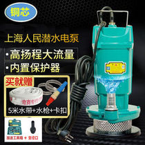 370W750W single-phase household electric submersible pump 1 inch 220V pumping machine well with agricultural users outside watering water pump