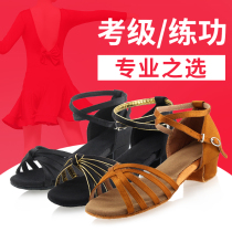 Latin Dance Shoes Children Womens Practice Shoes Beginners Professional Dancing Shoes Few Children Ballroom Dancing Shoes Girl Dance Shoes
