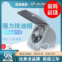 Golden Antelope Kitchen Oil Smoke Exhaust Fan High Power 10 Inch Ventilator Exhaust Fan Suction Oil Smoke Exhaust Fan Flip Rain