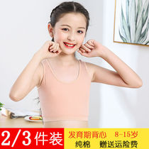 Girls underwear development period primary school student vest 13-year-old girl big child cotton summer thin girl bra