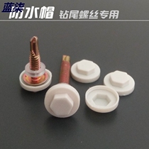 Screw riser decoration round head water cap hexagonal dovetail self-tapping nail color steel tile nail plastic protection cap width