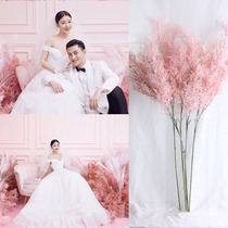 New wedding photography pink net red grass photo studio photo theme photo real scene flower wall pink fog grass background wall