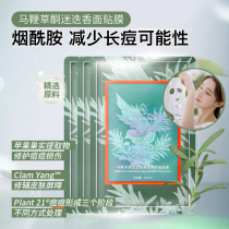 Meimo Amore Zhang Mofan Verbena ketone rosemary mask to remove acne and collect pores to remove oil moisturizing facial film