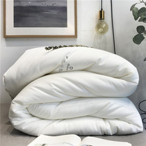 Imported Black Technology De Rong warm and thick winter quilt soft spring and autumn quilt core breathable summer quilt Hotel double child mother quilt