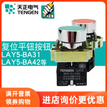 TENGEN day Zheng LAY5 start pause button flat button flat button Red Green yellow one normally open one closed BA31423545NP2