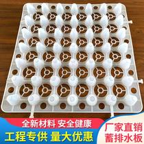 Roof greening Roof vegetable storage and drainage board Hydrophobic board Water filter board Geotextile water storage insulation new material Environmental protection