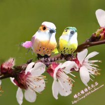 Beautiful simulation bird feather bird props ornament magnetic foam bird toy bundled bird garden landscape decoration