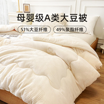 Class A raw cotton soybean quilt winter quilt quilt core cotton pure cotton washed jacquard dormitory student spring and autumn quilt winter