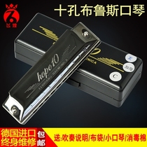 New accent Reed ten-hole blues harmonica 10-hole C tune children beginner students adult self-study music