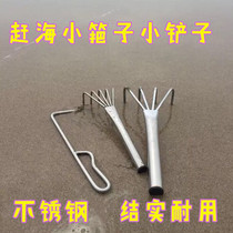 Small stainless steel shovel catching the sea tool to dig clam shells for sand and seafood razor gardening