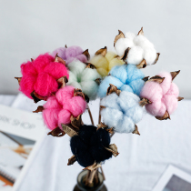 Natural color cotton wood pole dried flower bouquet single decorative ornaments Photo props Living room bedroom home furnishings