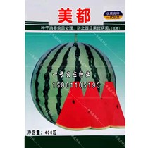 Cracking-resistant Meidu Watermelon Seeds Super Sweet Big Fruit High Yield Large Authentic 8424 Kirin Melon Seedless Sweet King Seed