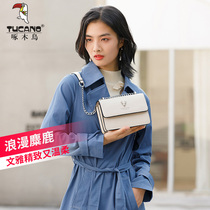 Woodpecker bag women 2021 New Tide shoulder shoulder bag female French niche chain bag foreign style small square bag women