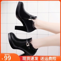 Autumn and winter leather show black velvet high heels waterproof single shoes thick heel lace lace size deep mouth womens shoes