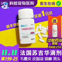 Love Poke 16mg Anti-Itch Dogs Dermatological Mycobacterial Mite dermatitis Dermatitis Allergic Dermatitis