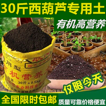 Zucchini special nutrient soil flower soil general-purpose household gardening vegetable organic soil peat soil planting soil green dill