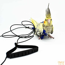 Parrot flying rope strap type tiger skin Peony Xuanfeng Small sun elastic traction training outdoor running bird flight