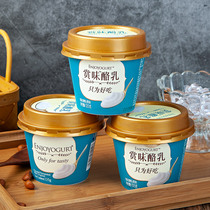 Light Bounty 135g * 12 cups truthfully cheese Dairy Flavor Fermented Yogurt Original Taste Child Elderly Milk Breakfast