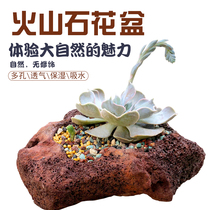 Volcanic rock stone flowerpots minimalist multi-meat plant large diameter flowerpots customised volcanic stone pure handmade