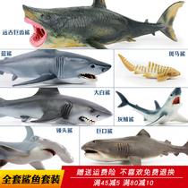 Simulation shark toy set marine animal model great white shark hammerhead shark blue shark childrens male Christmas gift
