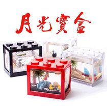 Thai Bucket Fish Tank Seaweed Ball Box Small Office Desktop Ornamental Fish Ecological Building Blocks Superimposed Creative Mini Fish Tank