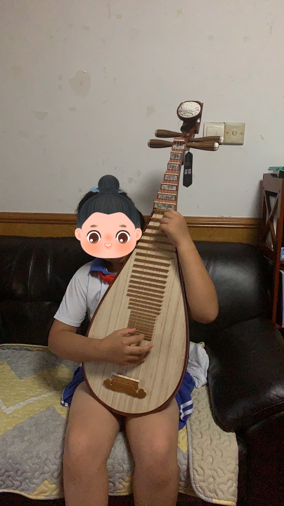 琵琶 O1CN01JzhgrY2DNTkIbFwmM_!!2-