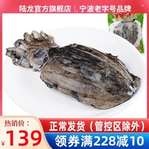 Land Dragon Seafood Frozen Fresh Ink Fish Squid Frozen Seafood about 2-3 to fit 650g Bag Mountain Seafood Water